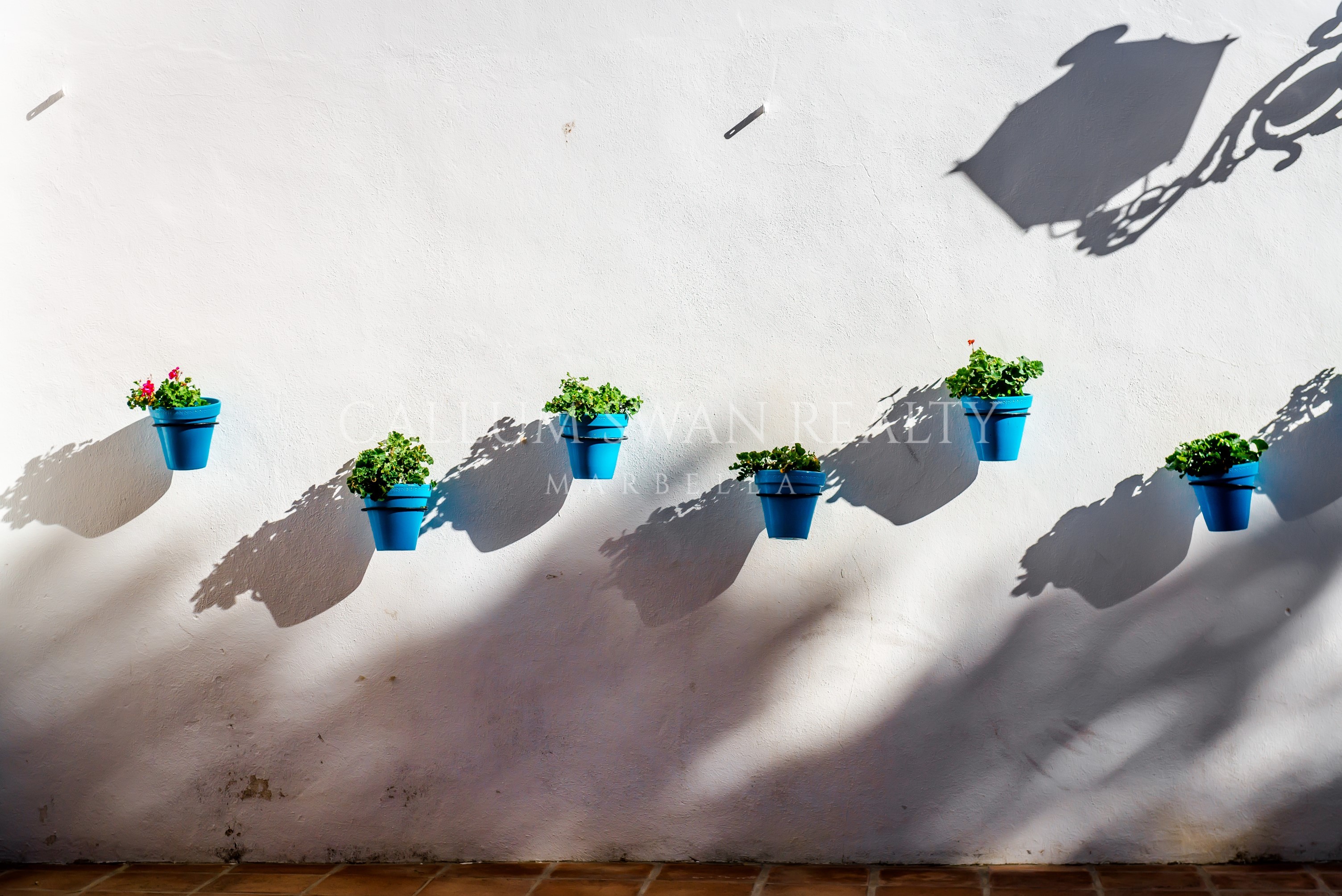 The beautiful white villages of cádiz