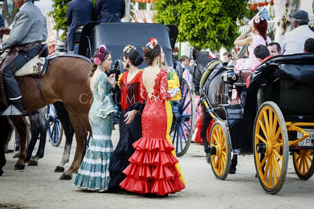 Diviértase en la feria de Marbella