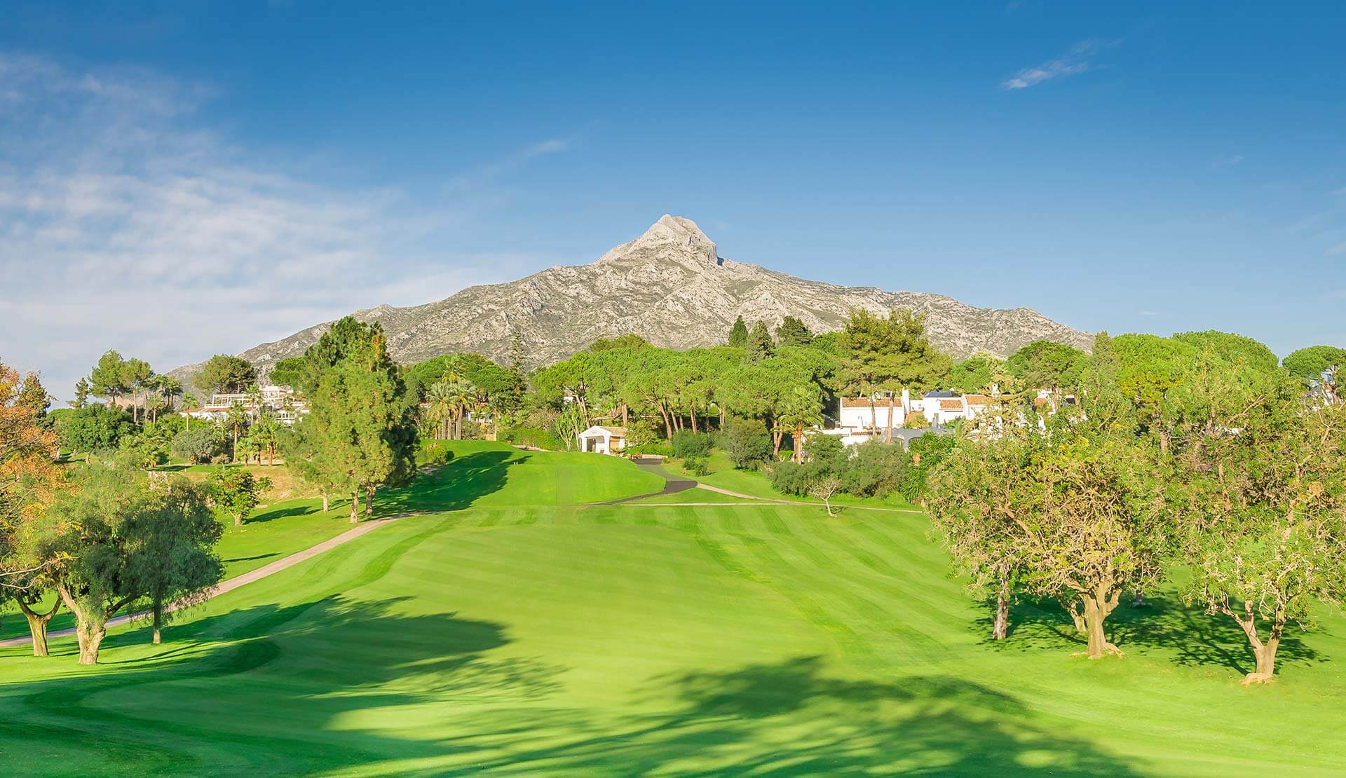 Opciones de lujo con golf