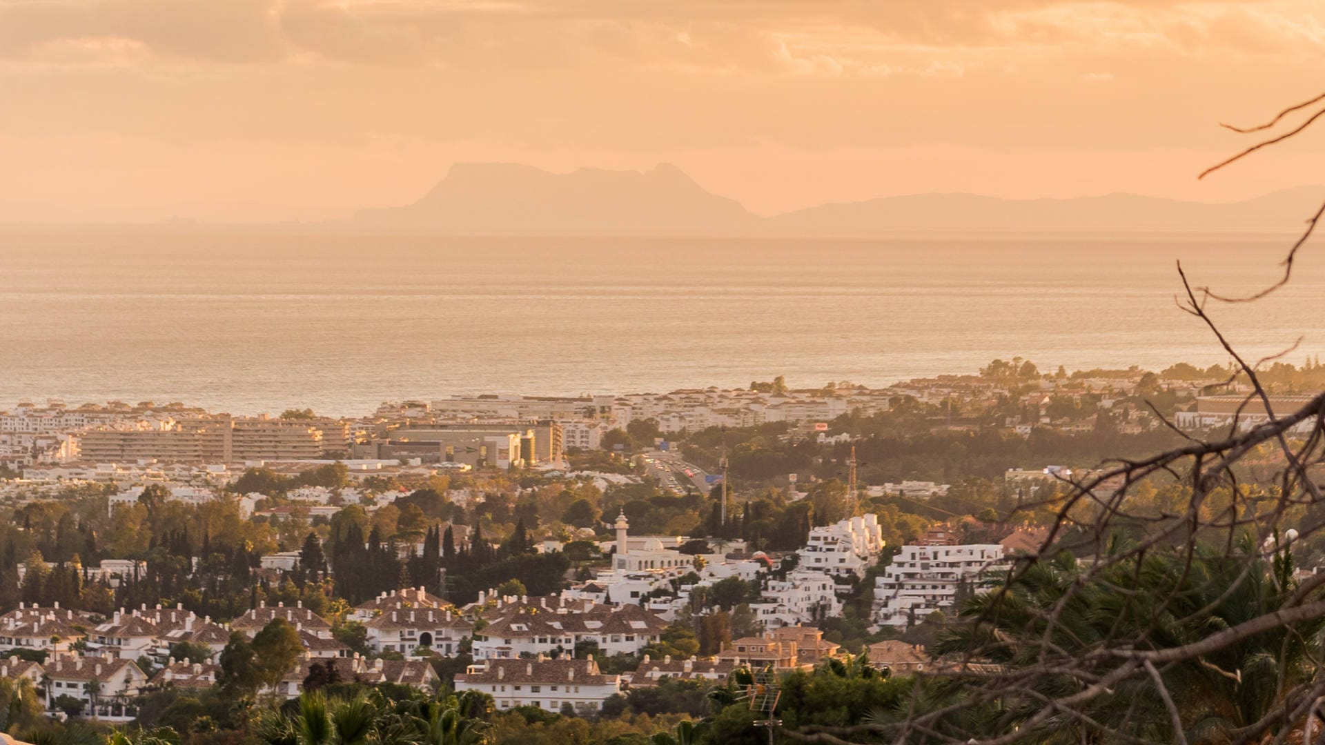 Bespoke buying service in Marbella